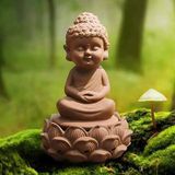 Shanti Chill Autum Mix