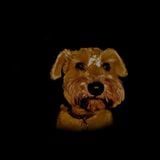 Sunday Sessions 10- Double Dog Down