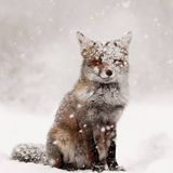 CFox - December Mix