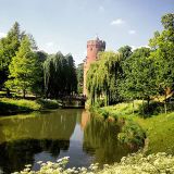 Dragonfly Radio Set - Friday 29 May