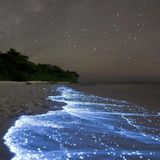 Mystique