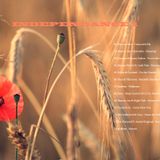 INDEPENDANCE 1