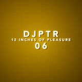 DJPTR - 12 Inches of Pleasure 06