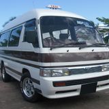 The Maxi Dub Chronicles Volume I (1991-1992)