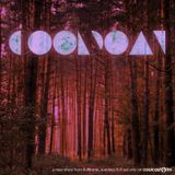 The Cooldown w/Flufftronix (11/18/12)