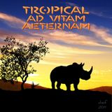 Tropical Ad Vitam Aeternam