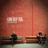 I Love Deep 2015