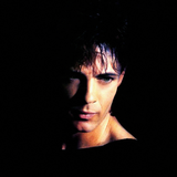 Rick Springfield - Walking The Edge (vanSpazierRemix)