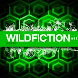 DC310 podcast mixed by Wildfiction