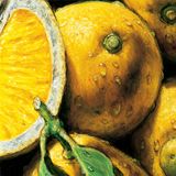 Lemons & Marijuana - James The Driver