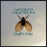 Random raymix 14 - bah mix