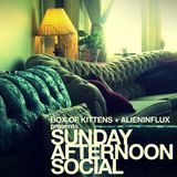Sunday Afternoon Social with Box of Kittens reunited - January 12, 2014