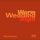 Warm Wedding Night