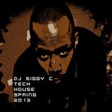 DJ Biggy C Tech House Mix Spring 2013