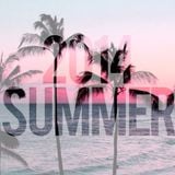 Summer House Hits 2014 (Duve Mixup)