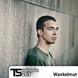 Tsugi Podcast 263 : Wankelmut