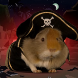 GuineaPirate's Essential Mix