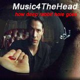 how deep rabbit hole goes