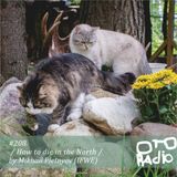 #208. Mikhail Pletnyov - _ how to die in the north _
