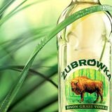 Francisco - Bison Grass