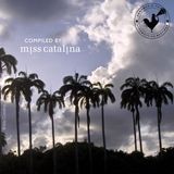 AgroTropical Sounds for Dance Floor Lovers!
