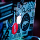 Frezh DJ & MC Reedo - Live @ BassAmBerg 2014