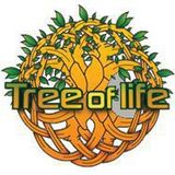 Edell - Winter Psygressive set special for Tree Of Life Festival 2013