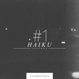 GUESTWAVE #1 x Haiku