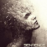 Sentience