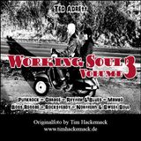 Working Soul 3