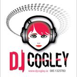 Happy Hardcore Megamix, February 2013 (Mixed by DJ Cogley)