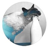 47 # Paranoia by Nuno Patrício / Just Jaeckin / O&W