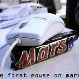 mouse on mars primer