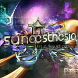 hardware live set at synaesthesia - club charlotte - muenster - 03082013