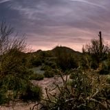 Desert Tech