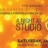 ACS Young Professionals Gala 2015 mini mix 1