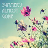 Summer's Almost Gone