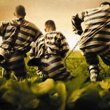 PLAY ART - Puntata 18... sui COEN BROTHERS!