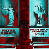 Filter Effect live mix 2016 - Private Display Of Effection