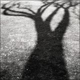 Science In Shadows (Metalheadz Blue Note 1997-98 - Part 3)