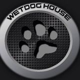 WETDOG Experience #14