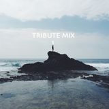 Tribute Mix 1