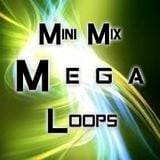 Mini Mix Mega Loops