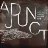 Mikael Stavostrand presents Adjunct's Selected Remixes Volume One