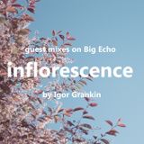inflorescence - Guestmix for Bigecho.ru (by Igor Grankin)
