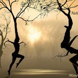 Natures Groove - Lounge Mix