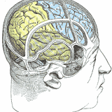 PsychoAcoustic Experiment