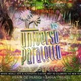 Daksinamurti @ Universo Paralello 2015/2016