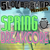 GDS Live @ Spring Breakcore 3//2//2015