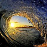 Wave 'n' WoBbLeZ